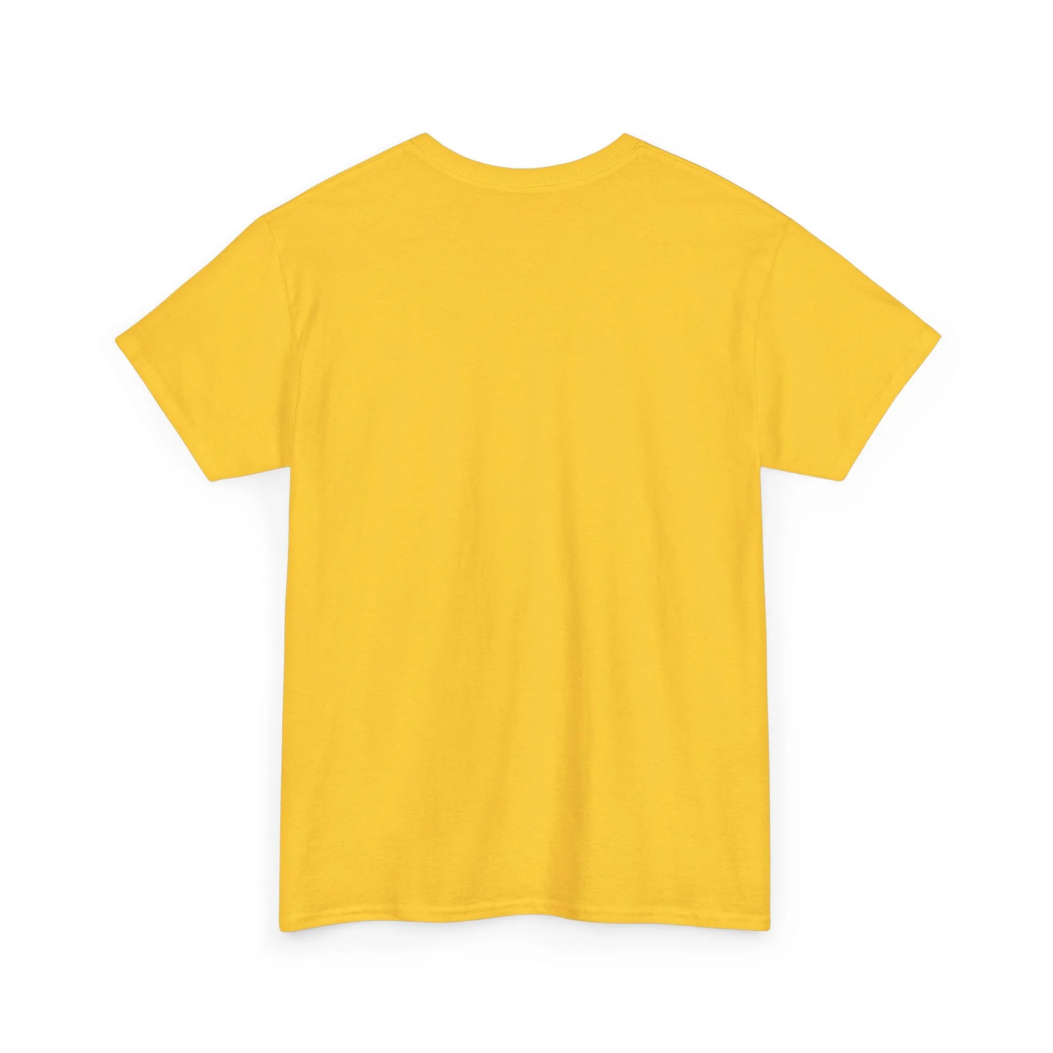 Army Veteran Unisex Heavy Cotton Tee