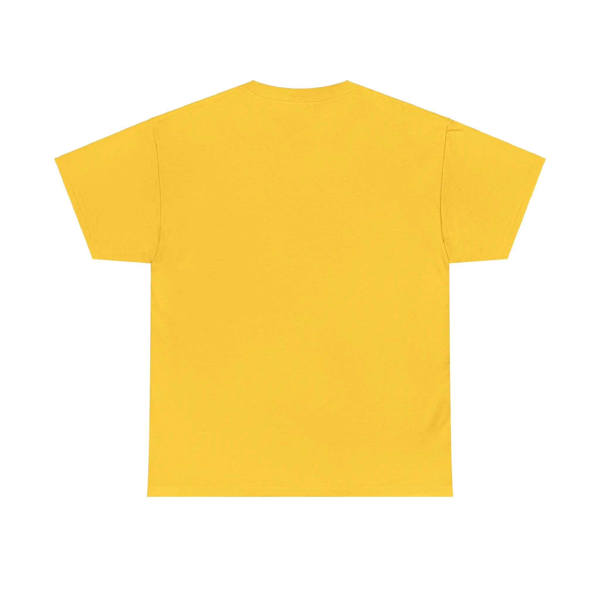 Army Veteran Unisex Heavy Cotton Tee