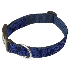 Bernstein - Dog Collar