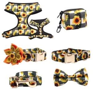 Blooming Sunflowers: Personalized SET