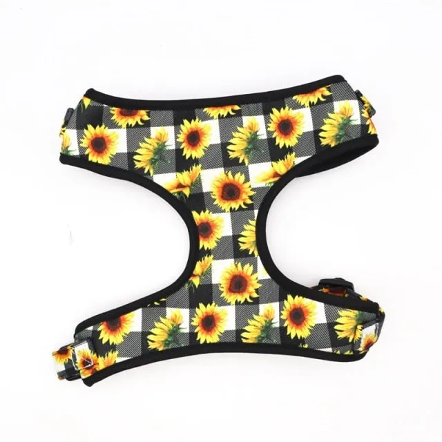 Blooming Sunflowers: Personalized SET