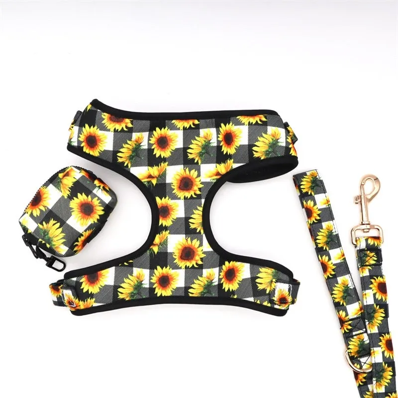 Blooming Sunflowers: Personalized SET