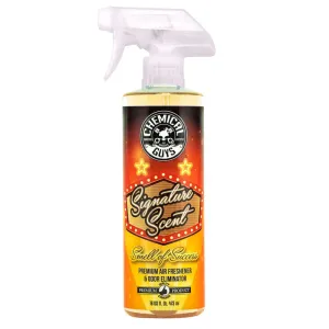 _Chemical Guys Signature Scent Air Freshener AIR_069_16
