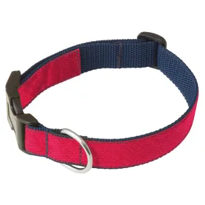 Colinette Candy - Dog Collar