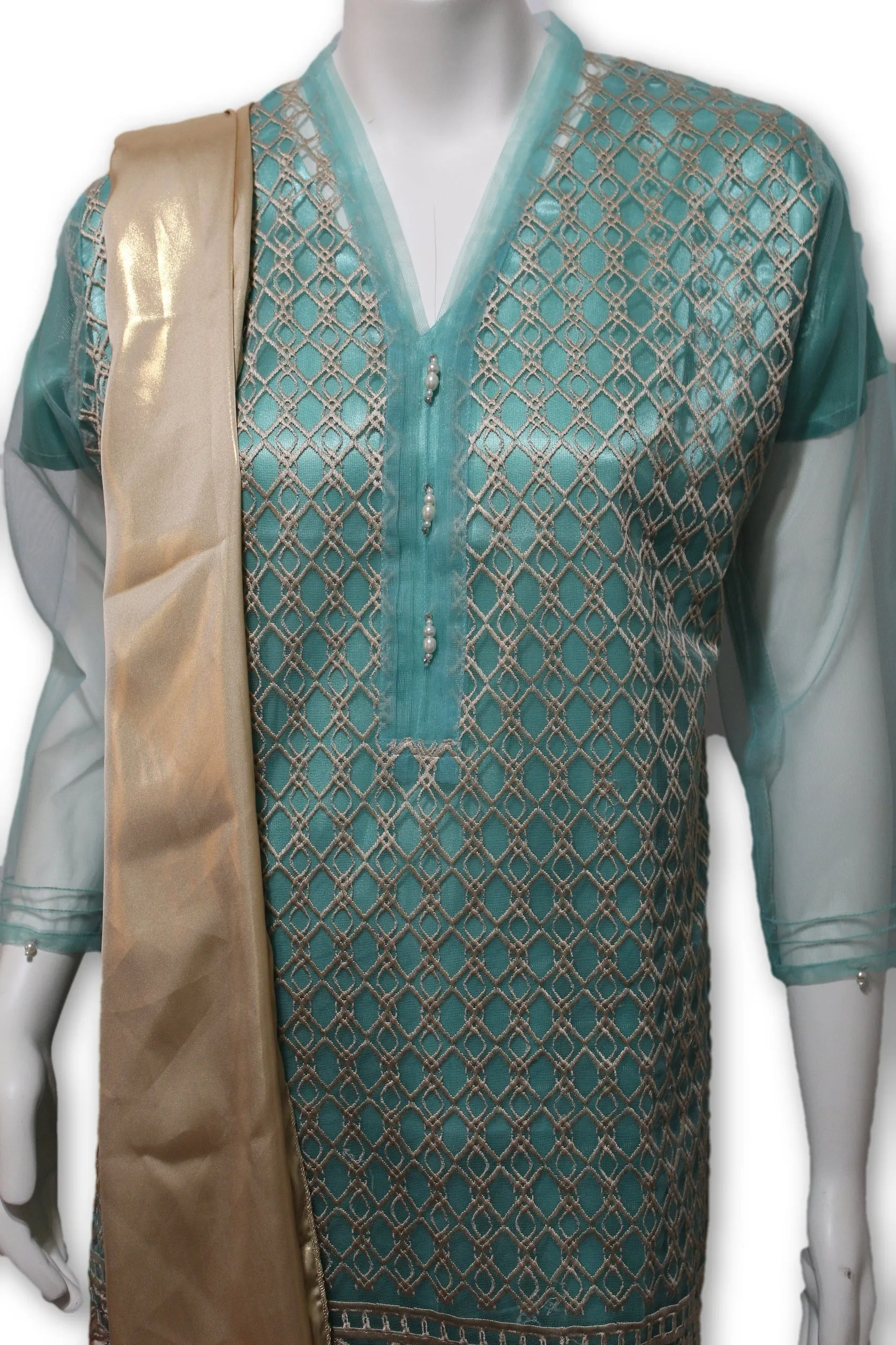 D10 Pakistani Indian Women Embroidered Organza Formal Dress
