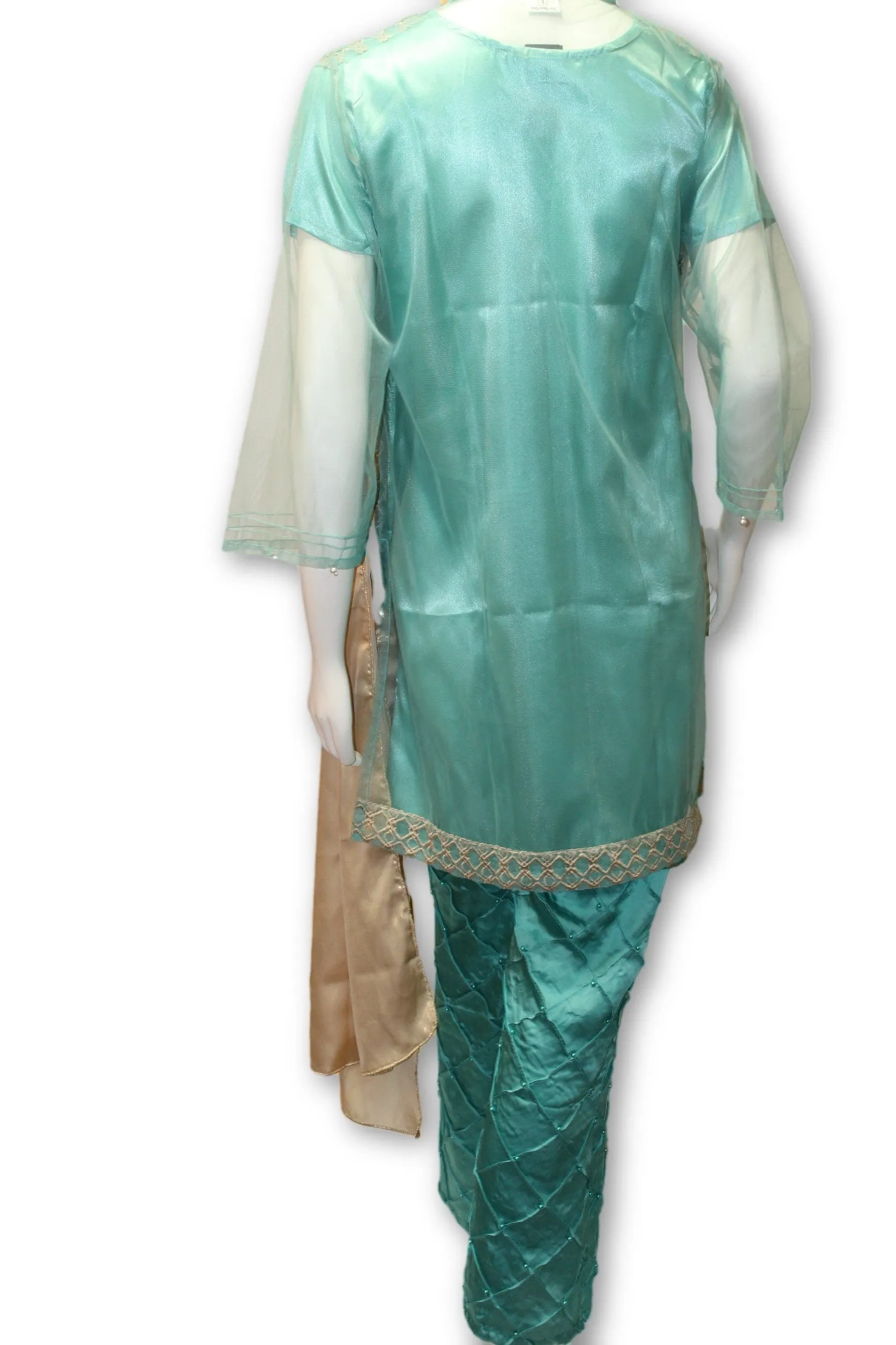 D10 Pakistani Indian Women Embroidered Organza Formal Dress
