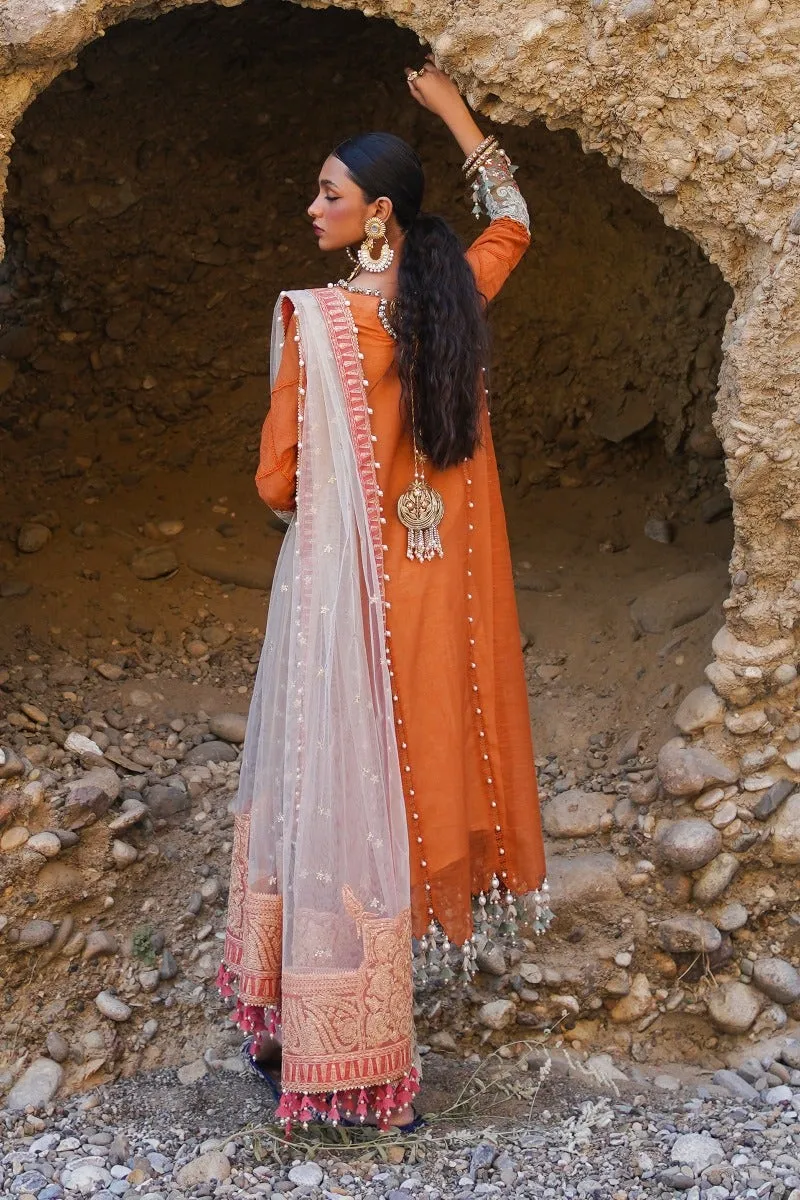 Embellished Sana Safinaz Orange Net A-line Kameez Salwar