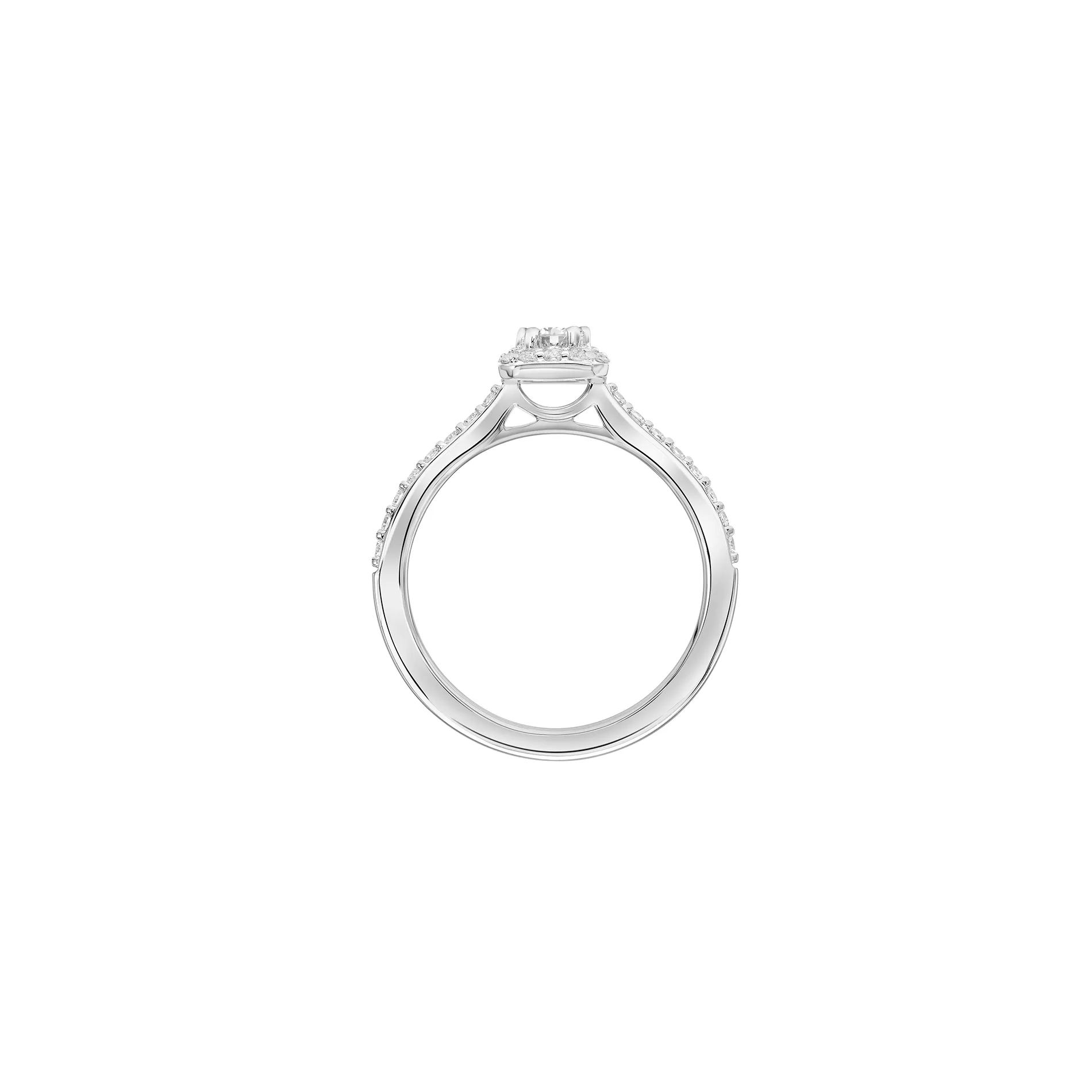 Fink's Exclusive 14K White Gold Round Diamond Halo Engagement Ring with Diamond Shank Accent