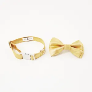 Gage Dog Bow Tie Collar