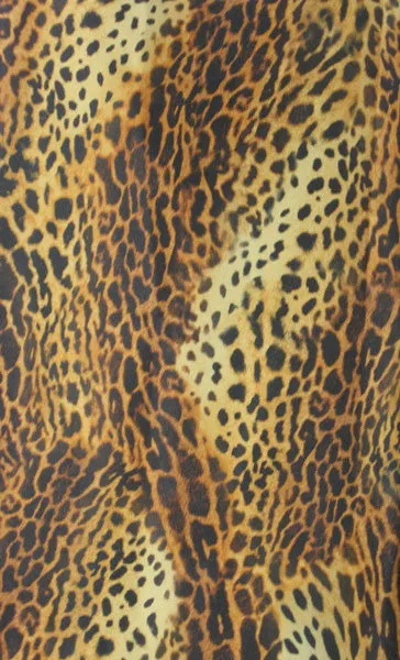 Hair Salon Vest Cheetah