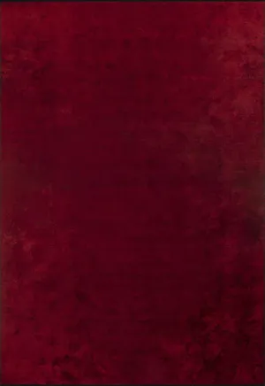 Hare Plus Modern Shiny Textured Area Rug 8920