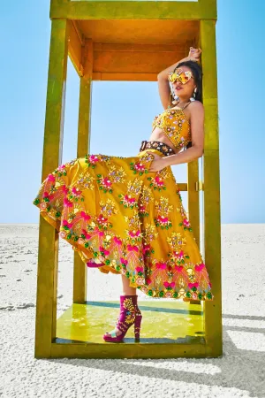 HEAD IN THE CLOUDS LEHENGA SET
