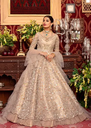 Indian Wedding Party Dress in Silver Long Frock #WN100