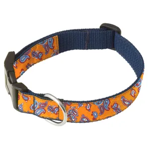 Ischitella - Dog Collar