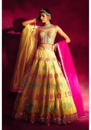 Mughal Boota Gold Shimmer Lehenga Set