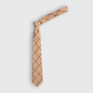 Orange Point Tie
