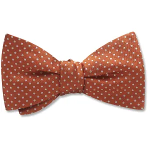 Oriel Sienna - bow ties