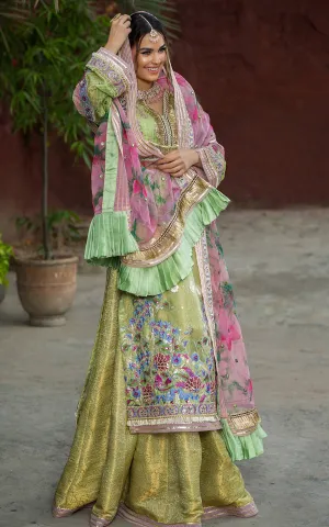 Pakistani Festive Gharara for Wedding Party #Y6176