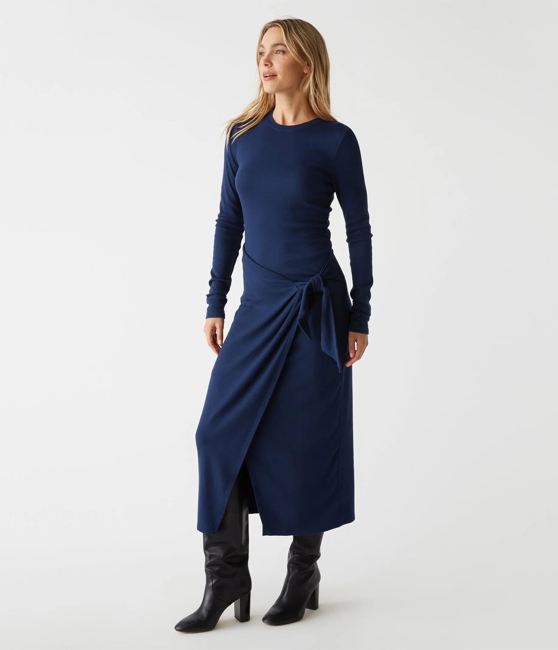 Petite Yessenia Dress