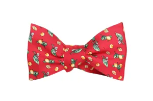 Red Lemon Print Silk Bow Tie