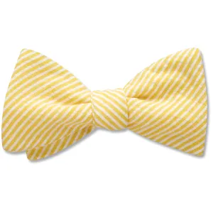 Roanoke Island - Dog Bow Ties