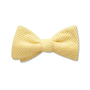 Roanoke Island - Kids' Bow Ties