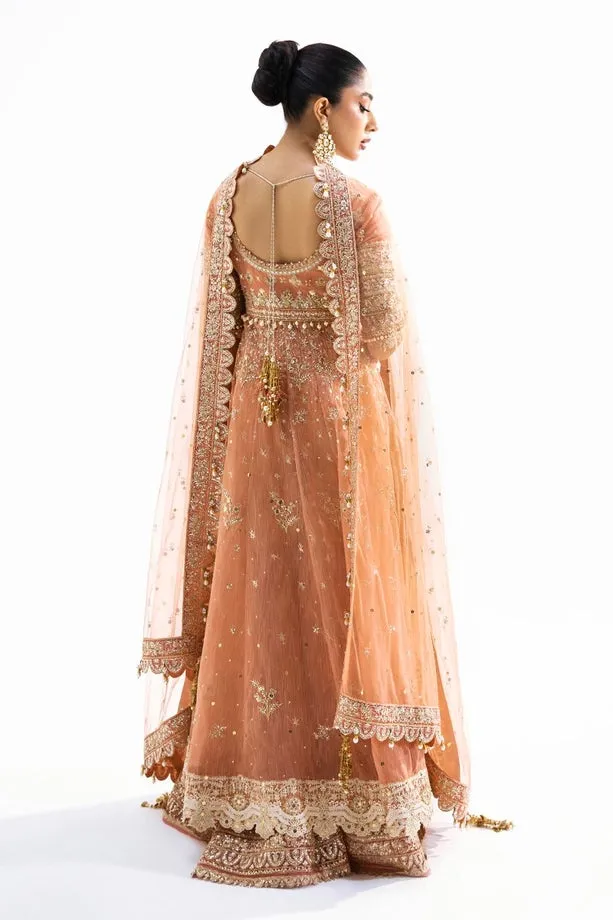SANA SAFINAZ | NURA - FESTIVE COLLECTION 2023 | VOL 1 - N231-008-CT