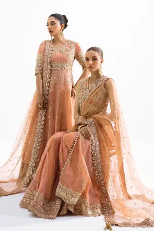SANA SAFINAZ | NURA - FESTIVE COLLECTION 2023 | VOL 1 - N231-008-CT
