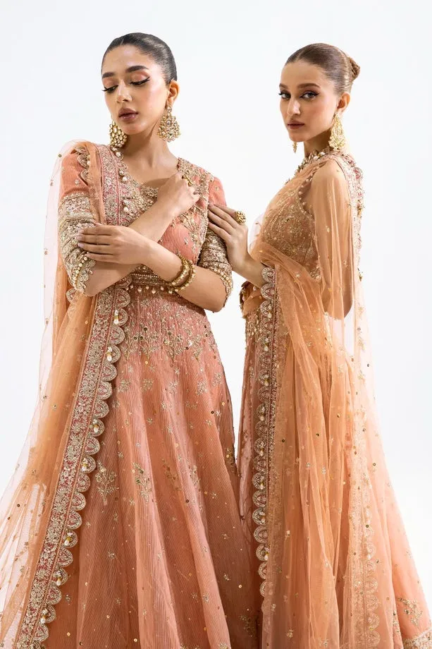 SANA SAFINAZ | NURA - FESTIVE COLLECTION 2023 | VOL 1 - N231-008-CT