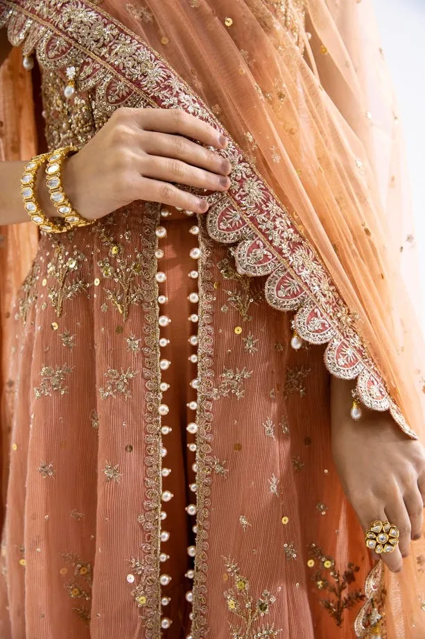 SANA SAFINAZ | NURA - FESTIVE COLLECTION 2023 | VOL 1 - N231-008-CT
