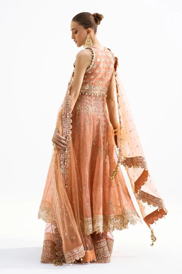 SANA SAFINAZ | NURA - FESTIVE COLLECTION 2023 | VOL 1 - N231-008-CT