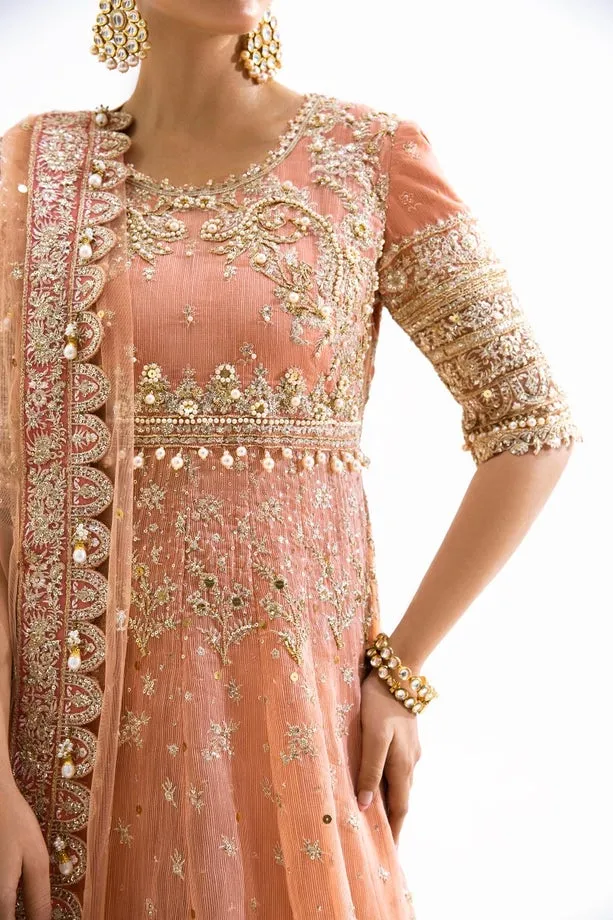 SANA SAFINAZ | NURA - FESTIVE COLLECTION 2023 | VOL 1 - N231-008-CT