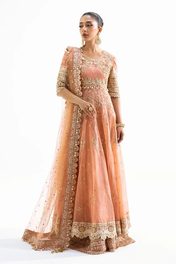 SANA SAFINAZ | NURA - FESTIVE COLLECTION 2023 | VOL 1 - N231-008-CT