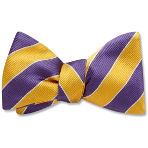 Scholastic Purple/Gold - bow ties