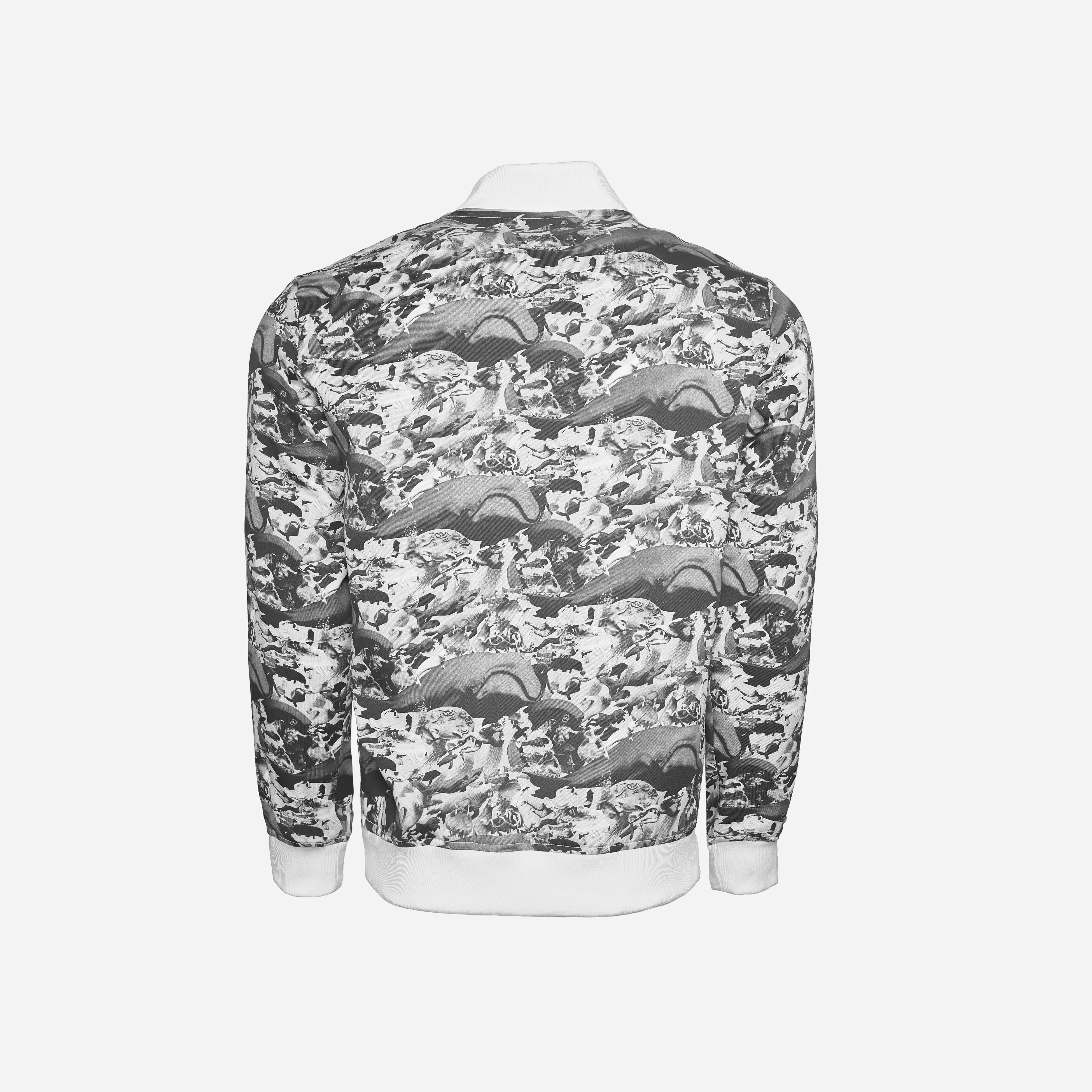 Second Edition Bomber