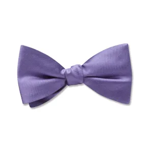 Somerville Lapis - Kids' Bow Ties