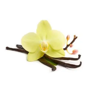 TFA - Plain Vanilla (Vanillin)