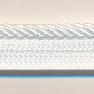 Twill Piping #00 Ecru